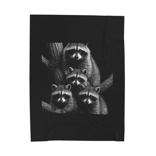 Black and White Raccoon Wall Art Print Four Curious Raccoons in Tree Wildlife Nature Home Decor Velveteen Plush Blanket