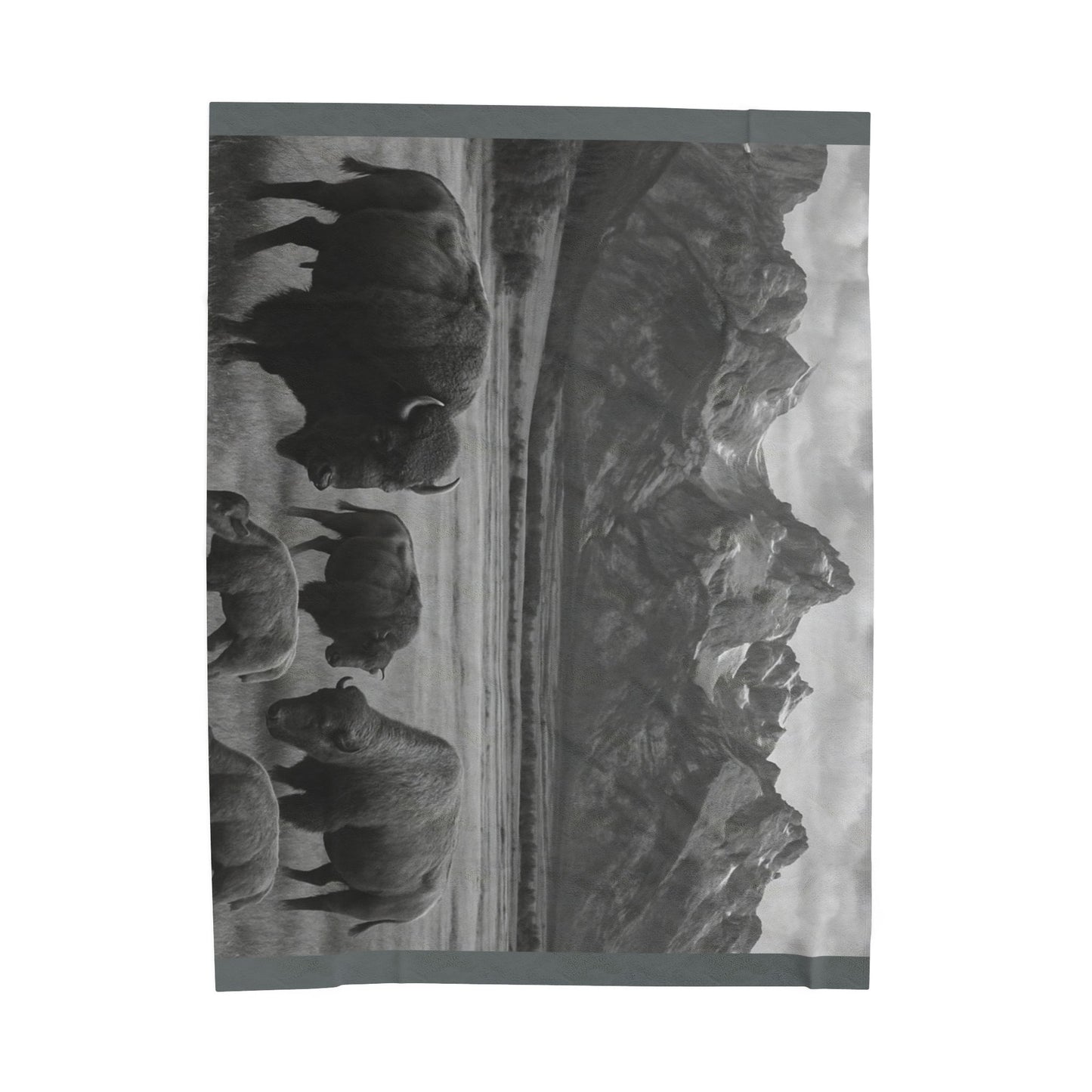 Bison Herd Mountain Landscape Blanket | Velveteen Plush Blanket