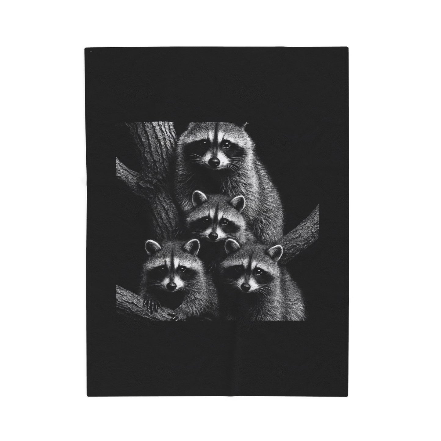Black and White Raccoon Wall Art Print Four Curious Raccoons in Tree Wildlife Nature Home Decor Velveteen Plush Blanket