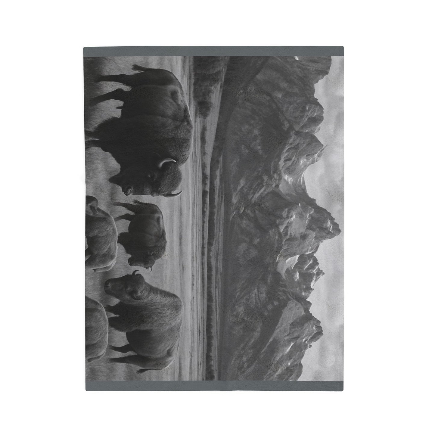 Bison Herd Mountain Landscape Blanket | Velveteen Plush Blanket