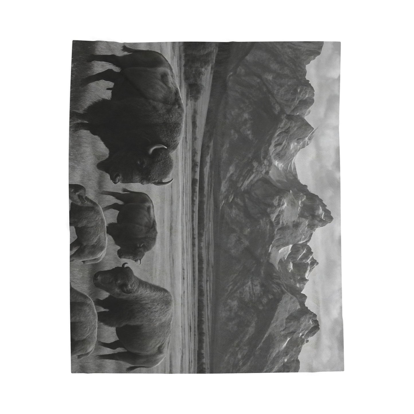 Bison Herd Mountain Landscape Blanket | Velveteen Plush Blanket
